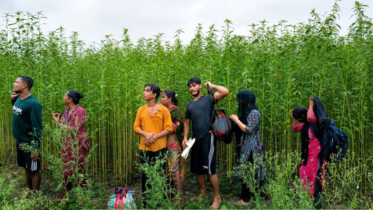 কুষ্টিয়া সীমান্তে ০৮ জনকে পুশ-ইনের চেষ্টা  বিএসএফের, রুখে দিল বিজিবি