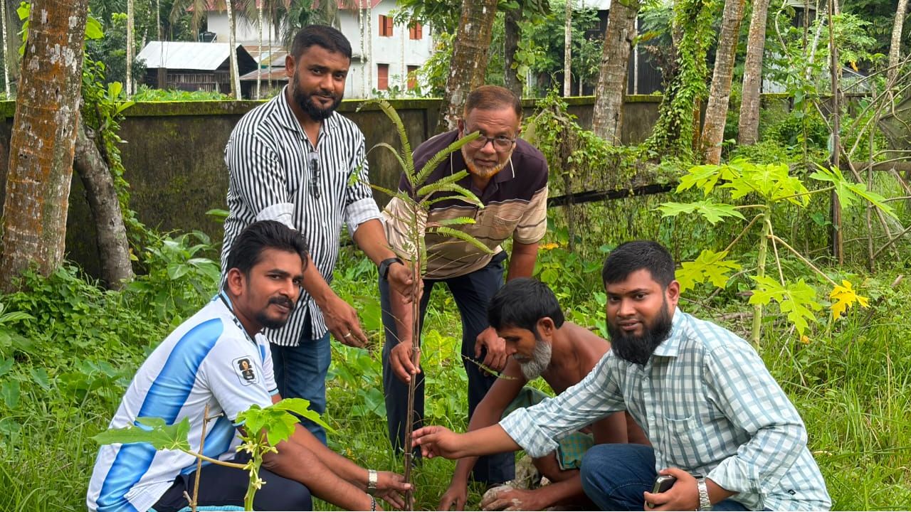 “গাছ লাগান, পরিবেশ বাঁচান” — বাকেরগঞ্জ জাতীয় সাংবাদিক সংস্থার বৃক্ষরোপণ কর্মসূচি