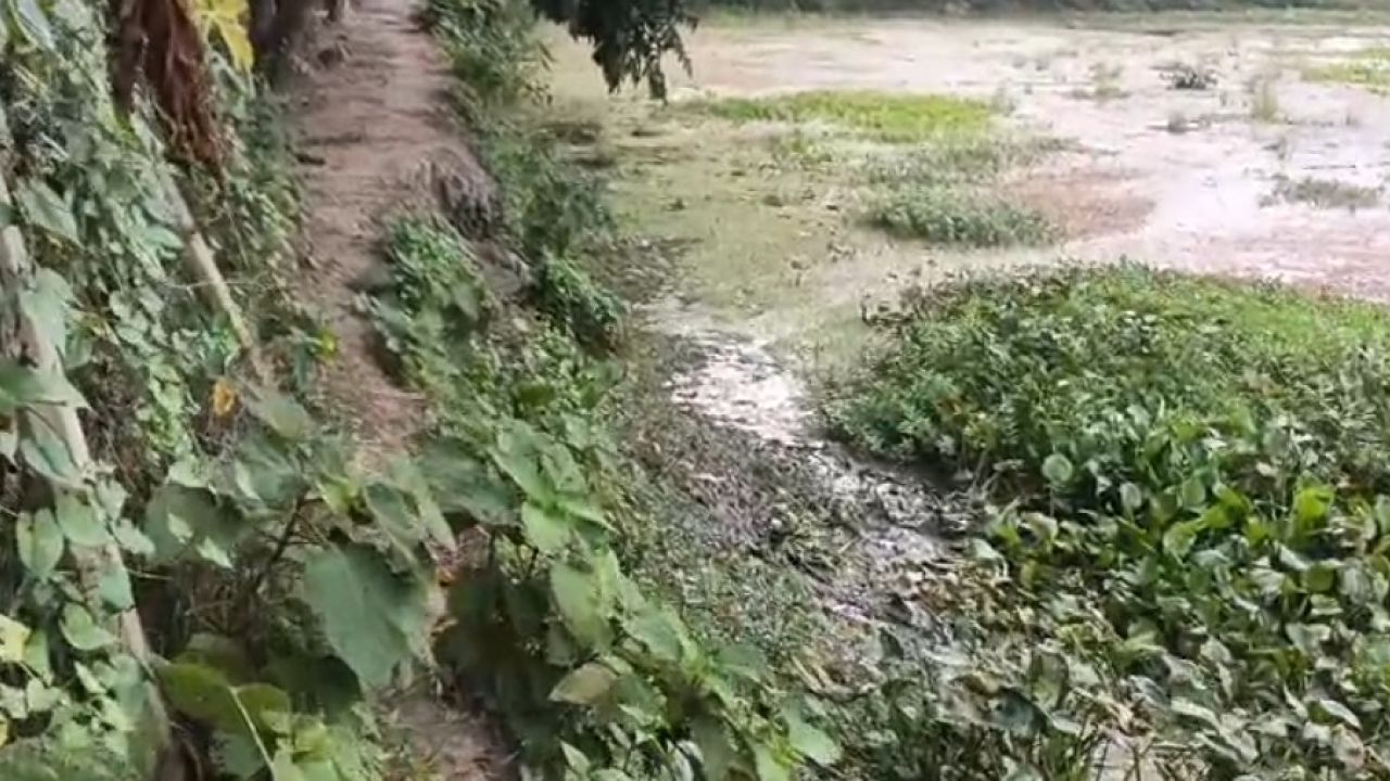 বোরহানউদ্দিন উপজেলা টবগী ইউনিয়ন ৩ নং ওয়ার্ডে রাস্তার কাজ না করেই বিল উত্তোলনের অভিযোগ
