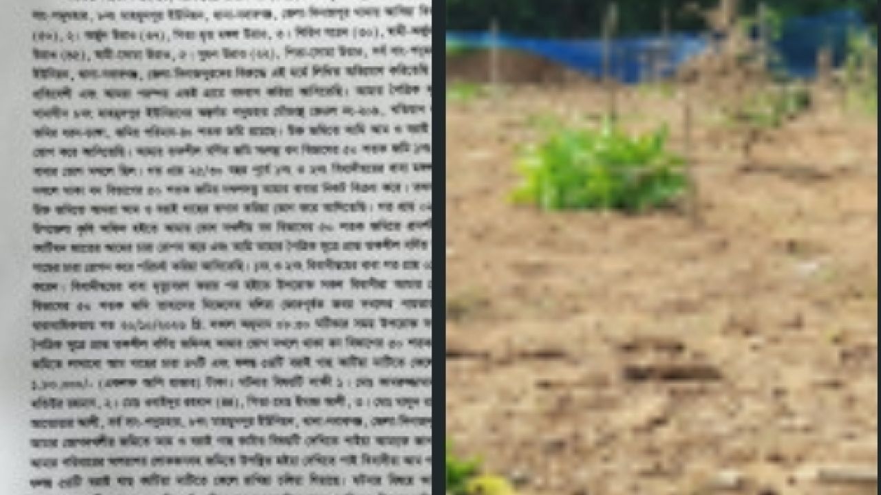 জমি নিয়ে বিরোধের জেরে ১০১টি আম-বরইগাছ কেটে সাবাড়, ক্ষতির দাবি ১ লাখ ৮০ হাজার টাকা