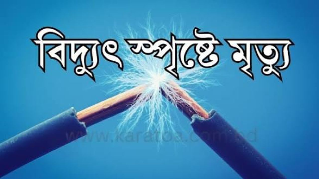 পীরগঞ্জে  বিদ্যুৎস্পৃষ্টে ডেকোরেশন শ্রমিকের মৃত্যু